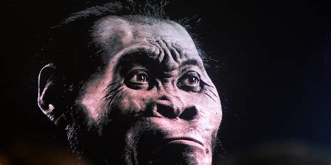 Homo naledi species, discovered in South Africa, may have buried its ...