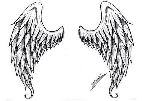 Free Simple Angel Wings Drawing, Download Free Simple Angel Wings ...