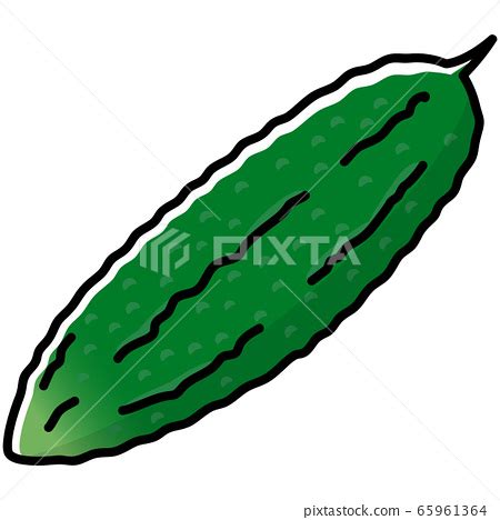 Bitter gourd cartoon - Stock Illustration [65961364] - PIXTA