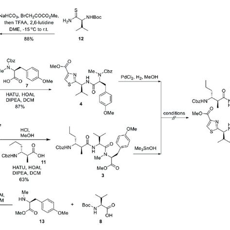 | Synthesis of β-amino acid 11. | Download Scientific Diagram