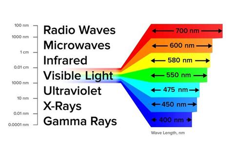 What Is The Difference Between Microwaves Radio Waves And Gamma Rays ...