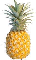 Multiple Fruits, Pineapple Multiple Fruit, Examples of Multiple Fruits ...