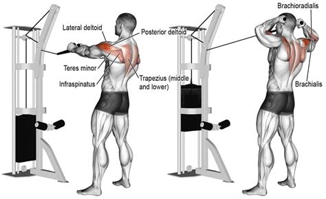 Face Pulls with Resistance Bands: An Effective Alternative to Cable ...