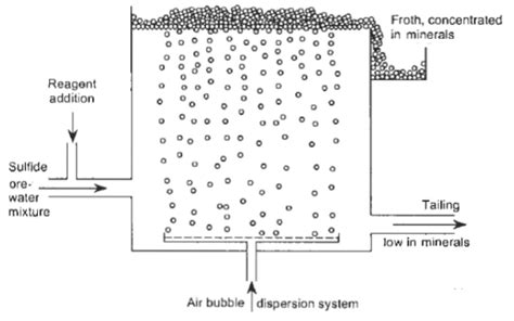 Froth Flotation Process