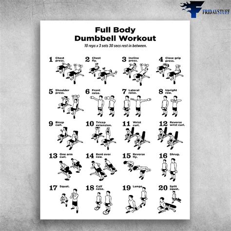 Full Body Dumbbell Workouts For Beginners | EOUA Blog