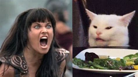 Woman Screaming At Cat Meme Template Yelling At Cat Meme, Woman Yelling ...