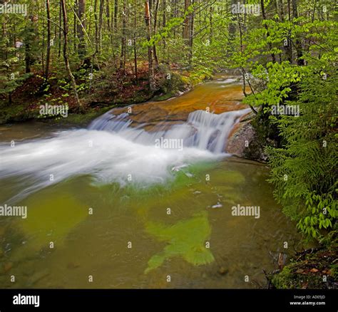 Waterfalls in the White Mountains Stock Photo - Alamy