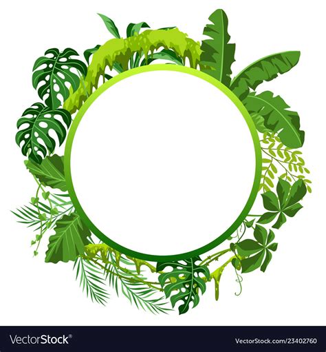 Background with jungle plants Royalty Free Vector Image