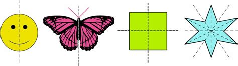 Symmetry in Nature | Mathcurious