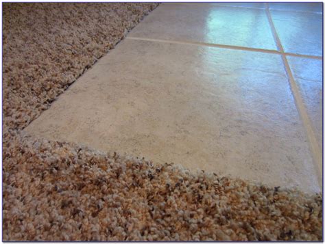 Carpet Transition To Tile - Tiles : Home Design Ideas #ymngdxrDRO71512