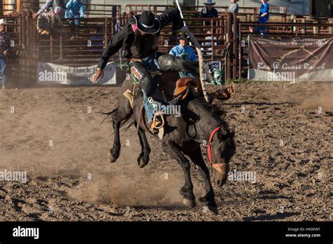 Saddle bronc riding hi-res stock photography and images - Alamy