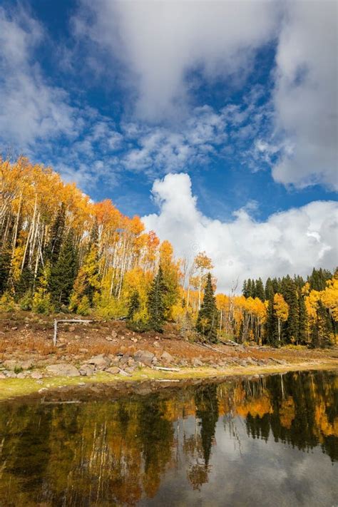 Fall Colors at Mesa Lakes on Grand Mesa, Colorado Stock Photo - Image ...