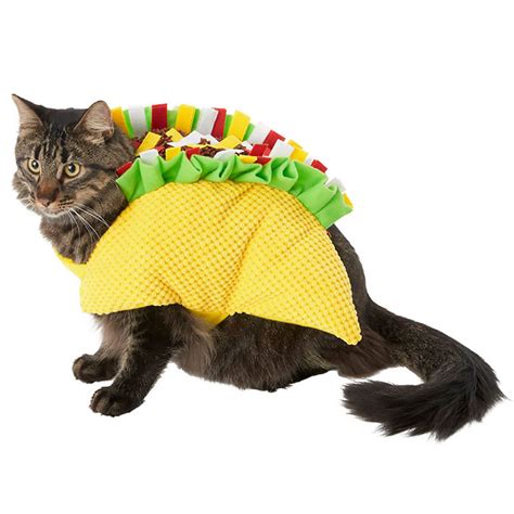 Cute Alert: 10 Cat Halloween Costumes for Your Favorite Feline