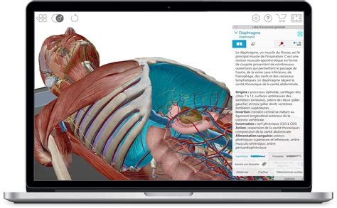 Visible Body 3d Human Anatomy Atlas