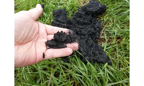 Biochar shows benefits as manure lagoon cover