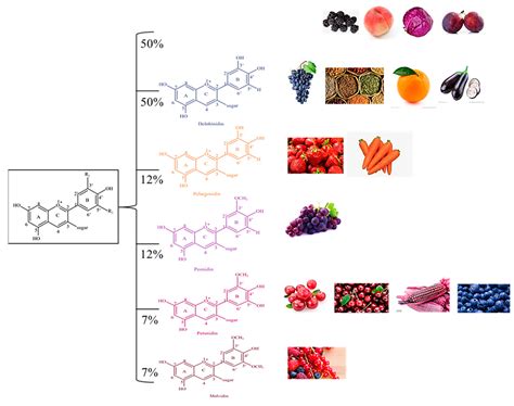 Foods | Free Full-Text | Anthocyanins: Modified New Technologies and ...