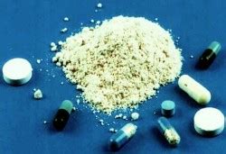 Amphetamine Effects on the Brain