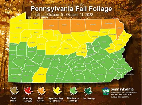 Fall Foliage Virginia Fall Foliage Map Fall Foliage Road Trips | Hot ...