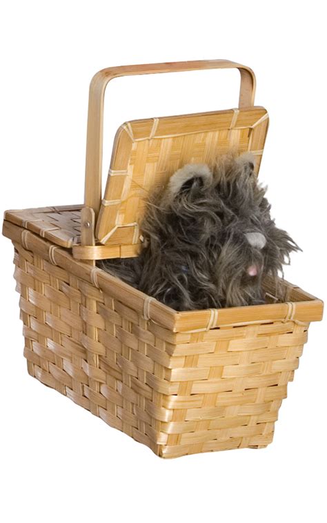 Deluxe Wizard Of Oz "Toto In A Basket"