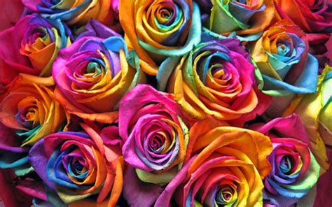 15 Outstanding rainbow flower desktop wallpaper You Can Save It Without ...