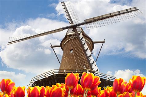 Tulips & Windmills River Cruise Dates and Pricing - 2024 Amsterdam to ...