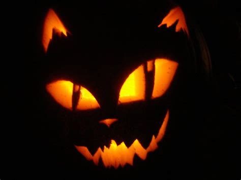 20+ Cat Face Carved Pumpkin