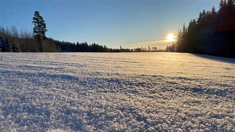 Snow in Finland and what it means for the nature