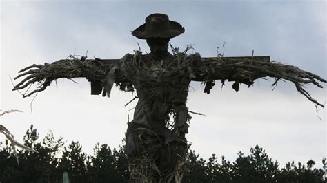 The Scarecrow - Nonprofit Apocalypse