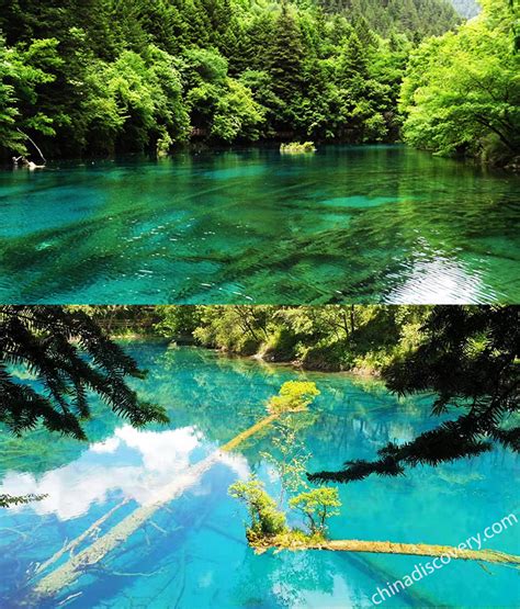 Jiuzhai Valley (九寨沟) & Jiuzhaigou Nature Reserve