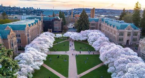 The Soccer Academy at University of Washington