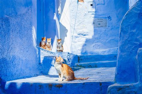 The Truth About Morocco's Blue City, Chefchaouen - Heart My Backpack