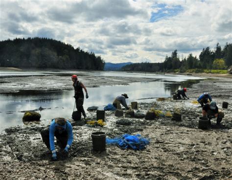 Our Farms | Taylor Shellfish Farms, Seattle WA