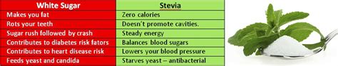 Health benefits of Stevia - Pinay HealthLine