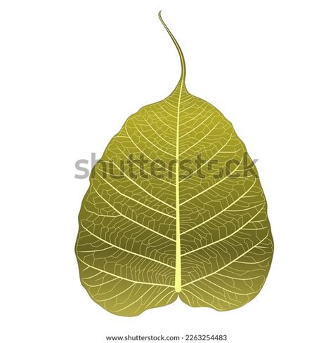 4,911 Bodhi Leaf Design Images, Stock Photos & Vectors | Shutterstock