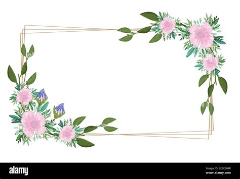 flowers decoration nature frame layout, vector illustration painting ...