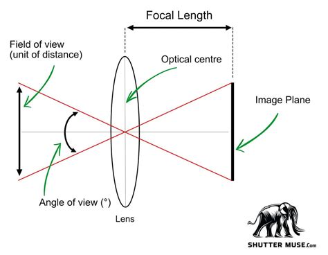 How To Calculate Field of View In Photography