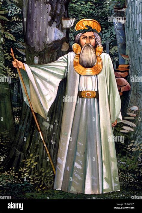 Druid priest in forest, wearing various 'celtic' ornaments ...