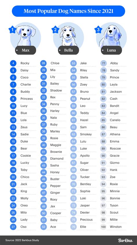 Study: What Are the Most Popular Dog Names in the United States ...