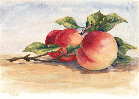 fruit painting Two Peaches watercolor art print