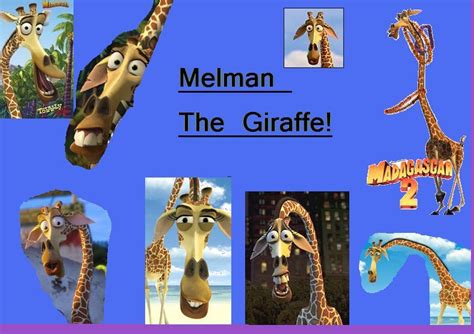 What do you think about Melman? Poll Results - Madagascar - Fanpop