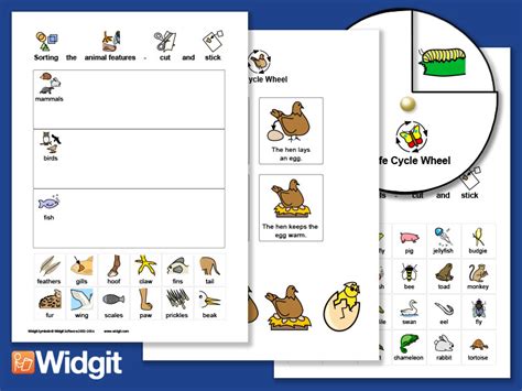 Animal Science - Activities with Widgit Symbols | Teaching Resources