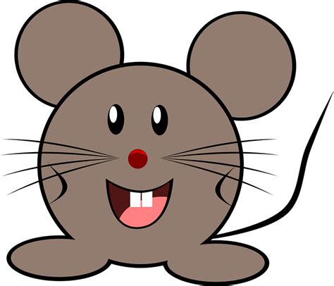 Mouse Grey Little · Free vector graphic on Pixabay