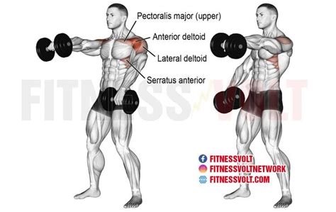 Alternating Dumbbell Front Raise (Shoulders) – Fitness Volt