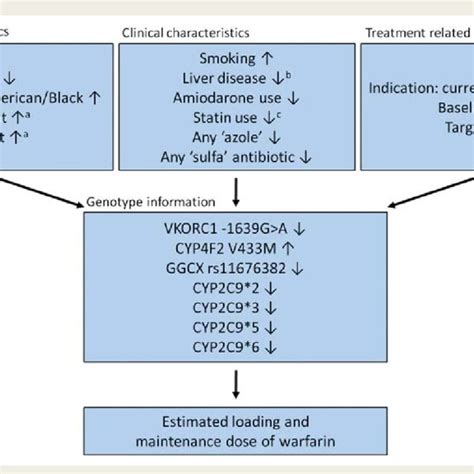 Dosing algorithm warfarin. The flow chart illustrates the publically ...