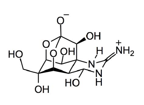 tetrodotoxin