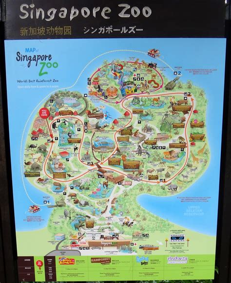 Singapore Zoo Map 2022