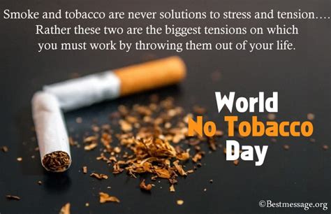 40+ World No Tobacco Day Messages 2024 Quotes, Slogans