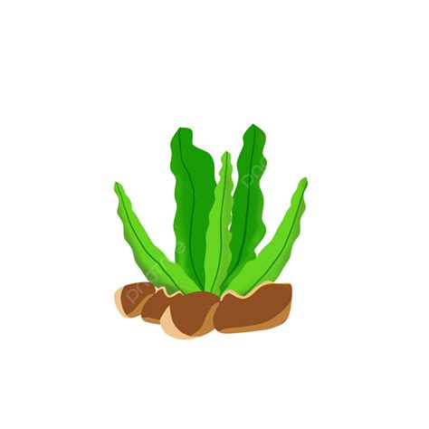 Seagrass Element Png ، المتجهات ، PSD ، قصاصة فنية , تحميل مجاني | Pngtree