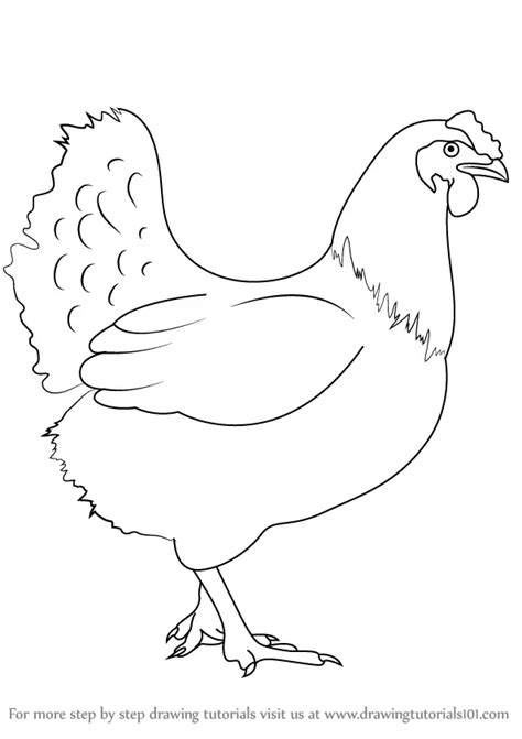 How to Draw a Chicken (Farm Animals) Step by Step | DrawingTutorials101.com