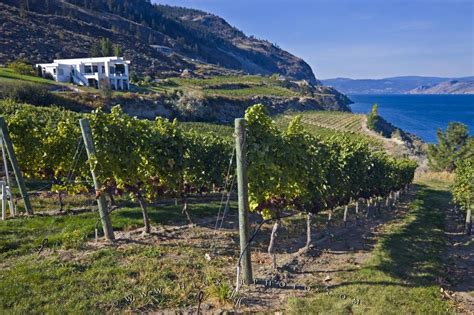 Scenic Winery Picture Summerland Okanagan Lake | Photo, Information